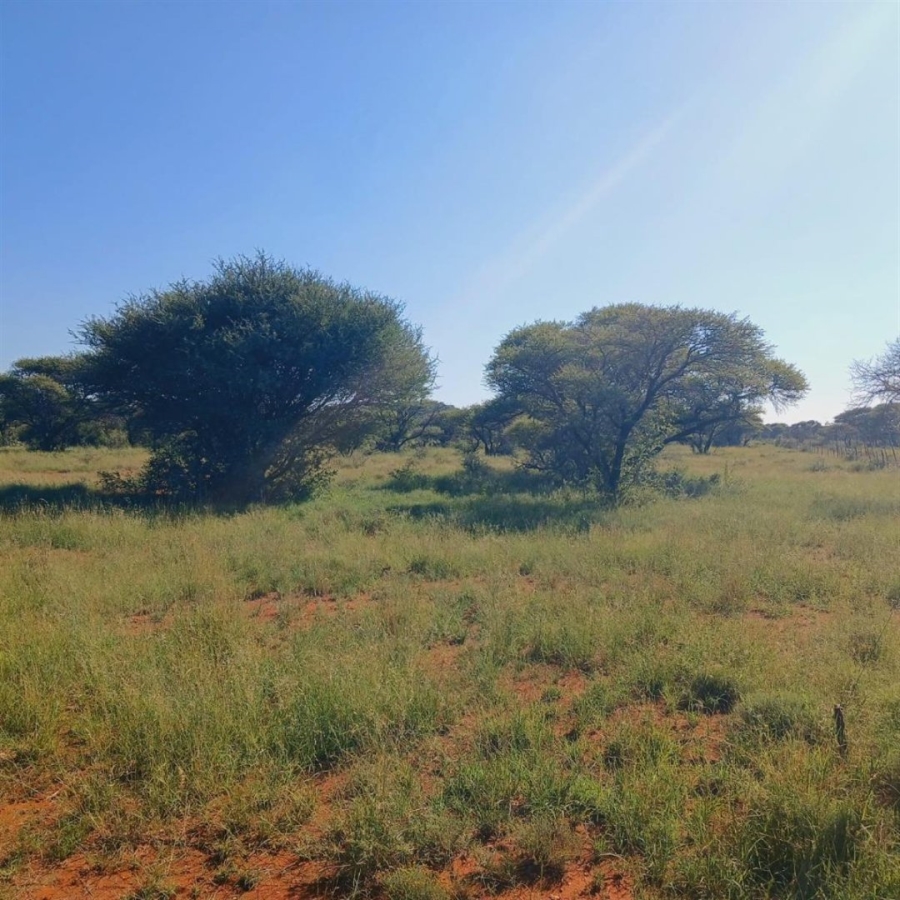 Commercial Property for Sale in Dealesville Free State
